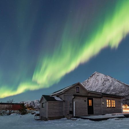 Koselig Bolig I Lofoten / Vesteralen Stronstad i Vesteralen Eksteriør bilde