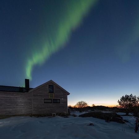 Koselig Bolig I Lofoten / Vesteralen Stronstad i Vesteralen Eksteriør bilde